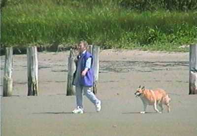 Beach Bandits
