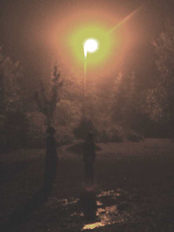 030905136