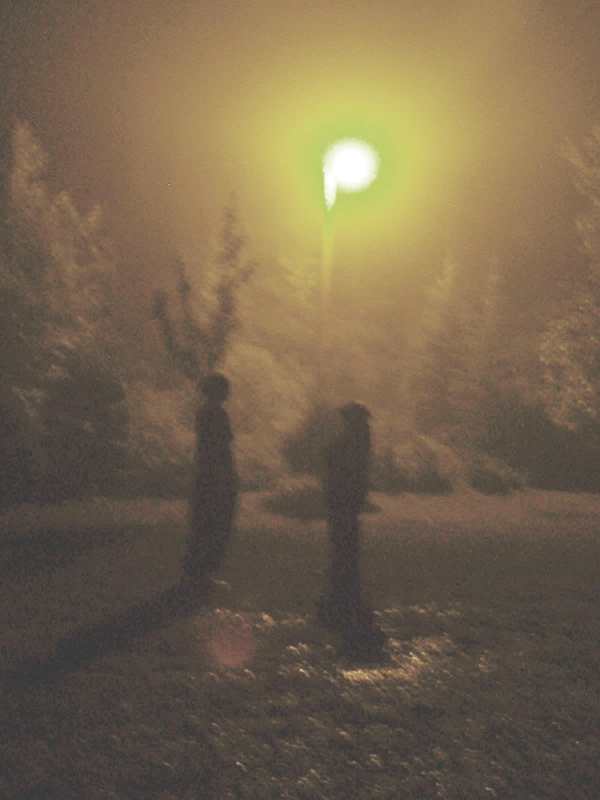 030905137