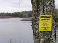 Power lines (?) and the lumber industry both spray herbacides in the Seloam  Lake area to suppress hardwoods and other vegetation. 