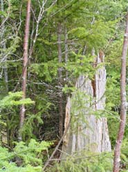 Liscomb - the way it was.